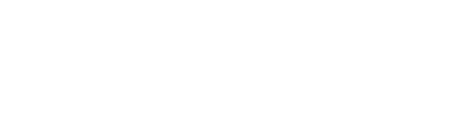 Green Wing Logo White